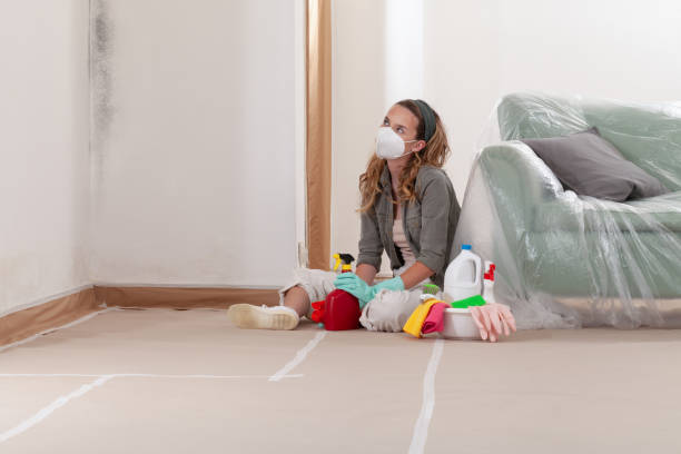 Reliable Black Mold Removal contractor in Annville, PA by WQB Mold Removal